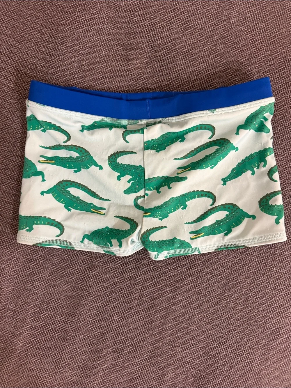 Mini Boden Boys Swim Shorts